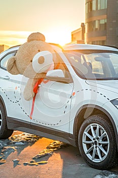 Teddy bear in the car , gift, Valentines day present for