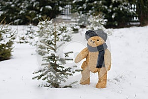Ein bär wählen weihnachtsbaum garten bedeckt entsprechend der schnee 