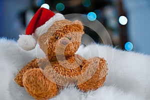 Teddy bear in a Christmas hat