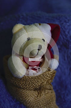 Teddy bear in Christmas with a yute sack photo