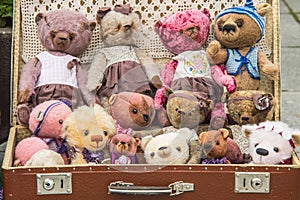 Teddy bear collection.foto