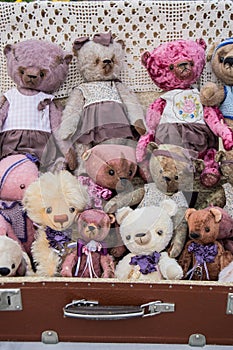 Teddy Bear collection.foto