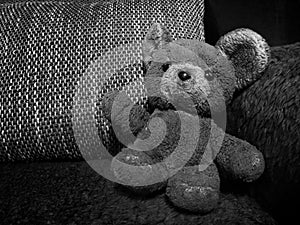 Teddy bear on the couch