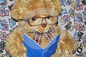 Teddy bear on the couch