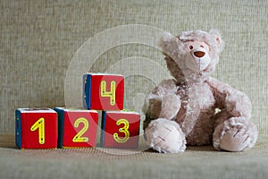 Teddy bear and cubes with number
