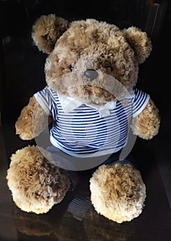 Teddy bear in blue shirt and jean