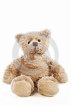Teddy bear doll