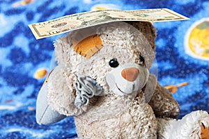 Teddy bear and dollars