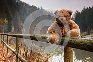 Teddy bear Dranik in autumn czech republic