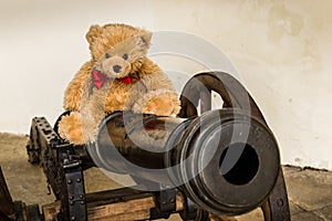 Teddy bear Dranik on the cannon