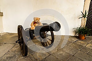 Teddy bear Dranik on the cannon