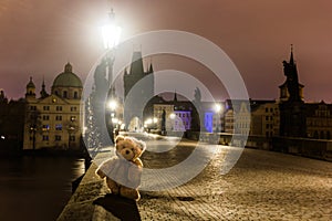 Teddy bear Dranik on Charles bridge in Prague