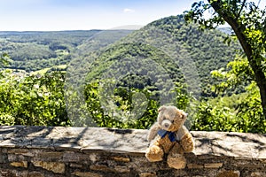 Teddy bear Dranik un Wachau valley, Austria.