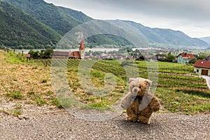 Teddy bear Dranik in Weissenkirchen. Austria.