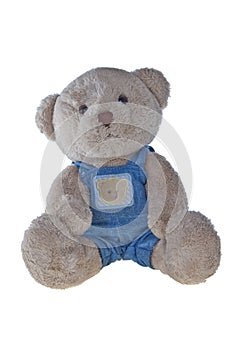 Teddy bear in dungarees, isolated on white