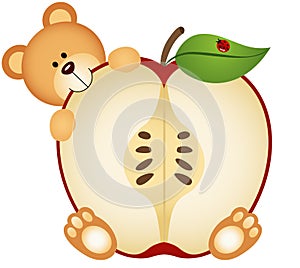 Teddy Bear Eating Apple Sliced