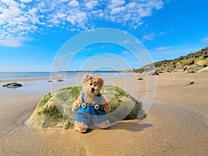 Teddy Bear on an Empty Beach