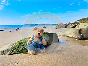 Teddy Bear on an Empty Beach