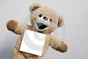 Teddy Bear with Empty Note Paper