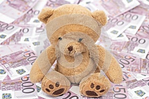 Teddy bear on euro money