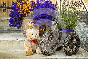 Teddy bear and fllowers in pots near door