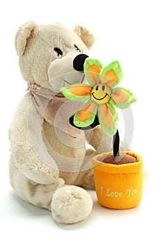 Teddy bear and flower