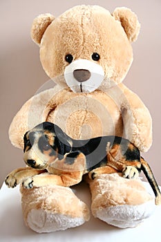 Teddy bear with friend