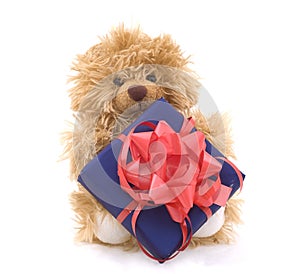 Teddy bear with gift box