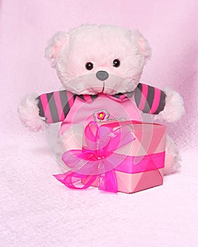 Teddy Bear with gift - Valentines Day Stock Photos
