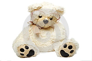 Teddy bear in glasses isolated