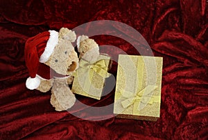 Teddy bear with golden gift box on red