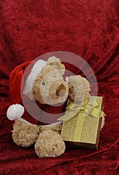 Teddy bear with golden gift box on red