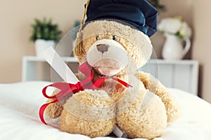 Teddy bear in graduation cap holding his diploma
