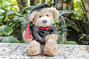 Teddy bear with graduation gown