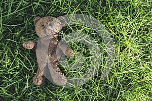 Teddy bear on the grass