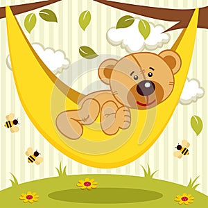 Teddy bear on hammock