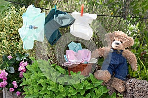 Teddy bear hanging laundry outdoor garden flowers herbs