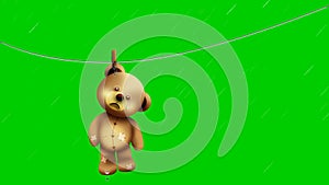 Teddy bear hanging on washing line, rain, rainy season, cartoon animation on green screen background.
