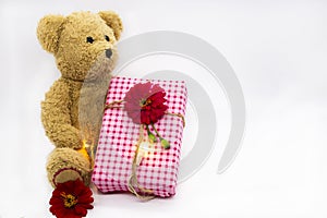 Teddy bear holding gift box for festival christmas ,new year and special day