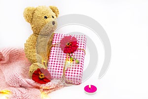 Teddy bear holding gift box for festival christmas ,new year and special day