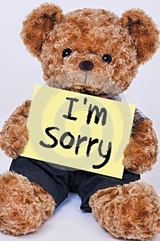 Teddy bear holding a yellow sign that says I`m Sorry