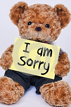 Teddy bear holding yellow sign that says I am Sorry