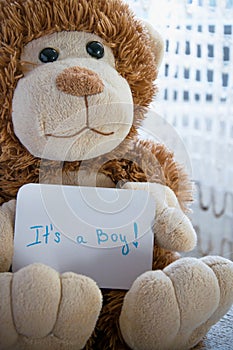 Teddy bear holds an announcement card for baby boy, space for text