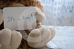 Teddy bear holds an announcement card for baby boy, space for text
