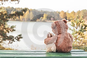 Teddy bear hugs toy bunny on bench on riverbank in autumn
