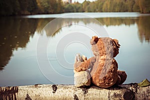 Teddy bear hugs toy bunny on fallen birch tree near river