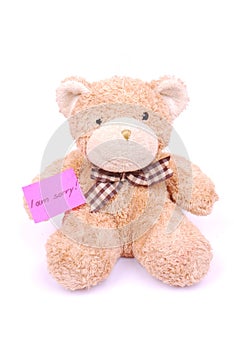 Teddy bear with I am sorry note