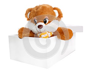 Teddy Bear Inside a Box