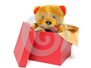 Teddy Bear Inside a Box