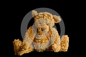 Teddy Bear Isolated On Black